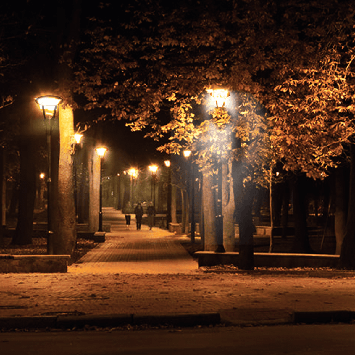 AEH3 LED Garden Post Light Warm White Night Illumination Along Tree-Lined Park Walkway in Autumn Showing Row of Cone Frame Post Lights for Outdoor Landscape Lighting